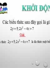 Bài giảng Toán Lớp 7 (Sách Chân trời sáng tạo) - Chương 7 - Bài 2 Đa thức một biến - Năm học 2022-2023